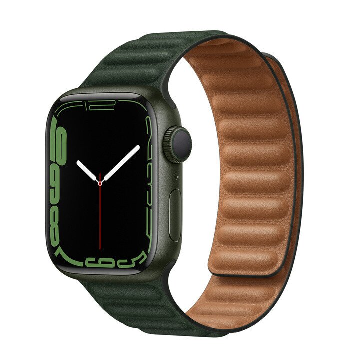 Apple 41mm Sequoia Green Leather Link M/L